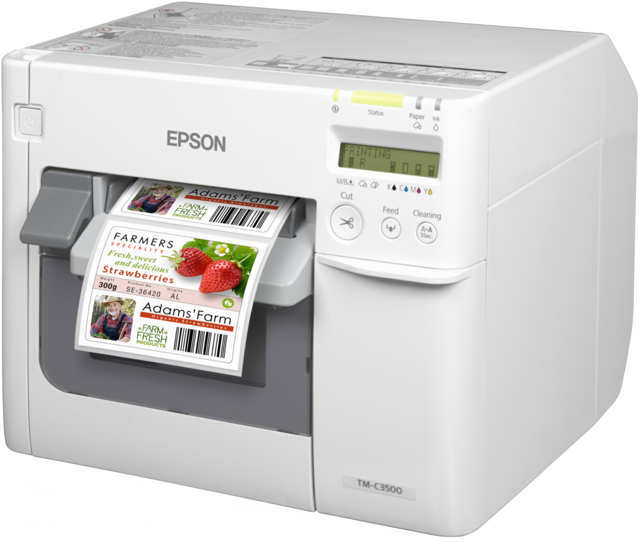 Epson ColorWorks C3500 Inkjet Renkli Etiket Yazıcı - Görsel 2